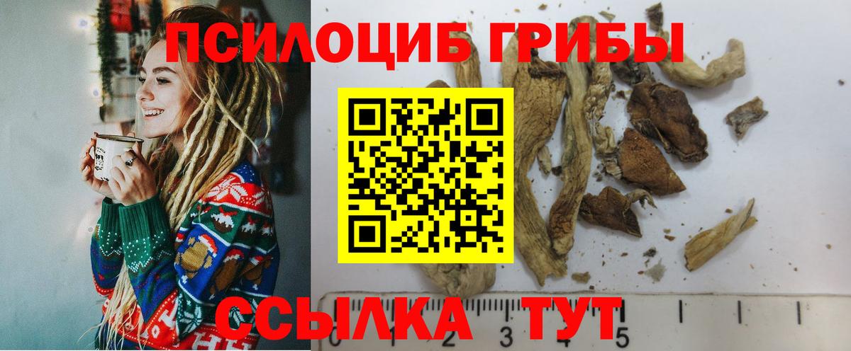 Псилоцибиновые грибы мухоморы Кашира